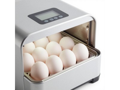 Інкубатор Квочка 100 яєць механічний: точність і надійність для фермерів