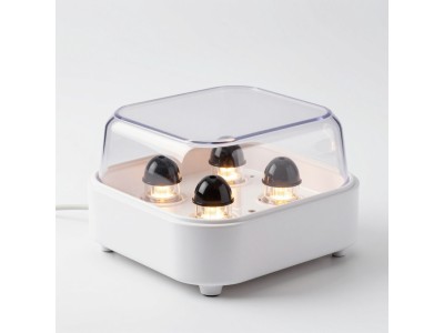 LiFePO4 12V 100Ah акумулятор Datouboss: надійність та ефективність для ваших потреб