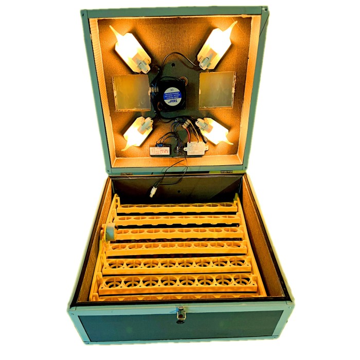 Інкубатор автоматичний Квочка 56