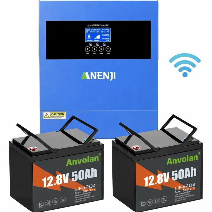 4,2 кВт LiFePO4 Комплект резервного живлення інвертор Anenji WiFi+2 акумулятори Anvolan 12V 50Ah для квартири, будинку