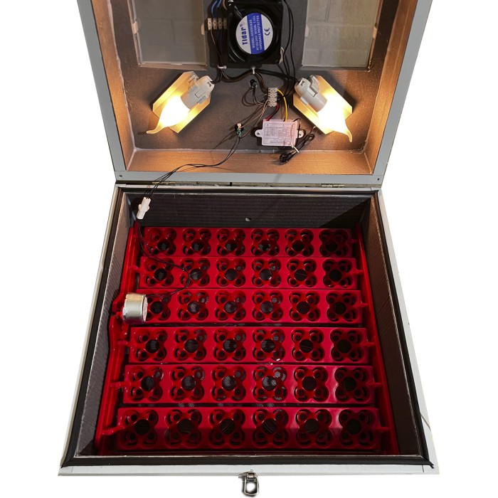 Інкубатор Квочка ІБ-36/144 з автоматичним переворотом, пластикові лотки