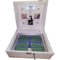 Інкубатор Квочка ІБ-120/72,12 вольт, автомат, цифровий,ТЕН, вентилятор, світлодіодна підсвітка