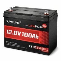LiFePO4 12V 100Ah Dumfume Mini BMS 1280 Wh, для резервного живлення будинку