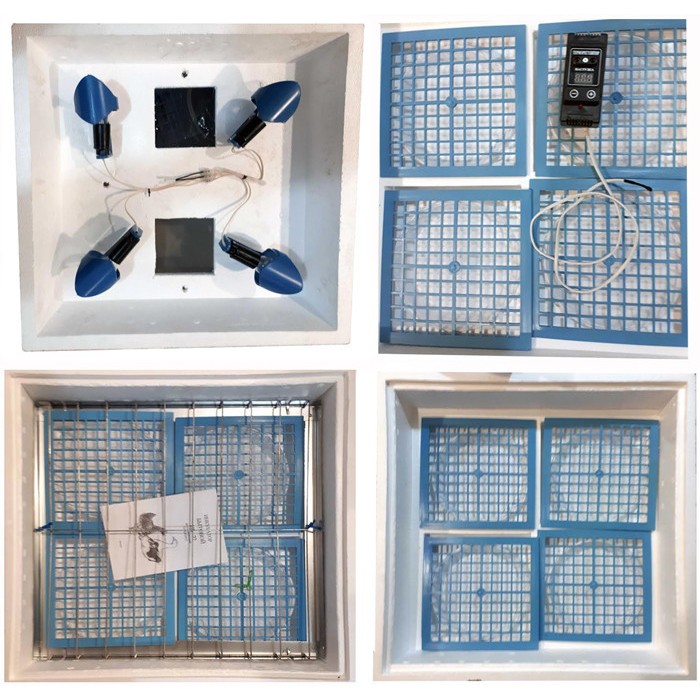 Інкубатор Насідка-72 (120) механічний, цифровий, сітка під курку та перепелку, 4 лампочки