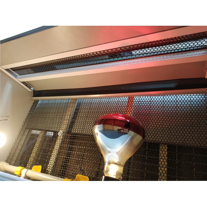 Брудер Квочка БР-100 професійний цифровий терморегулятор