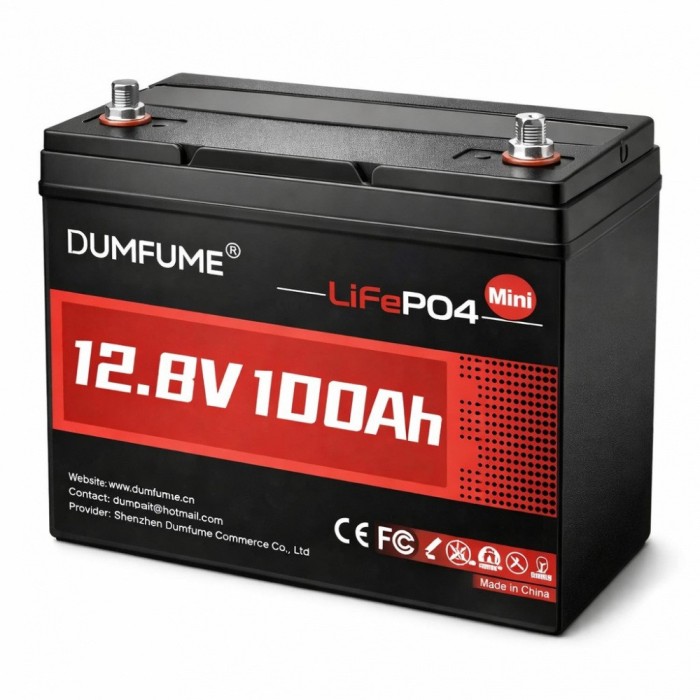 3.2 кВа LiFePO4 Комплект резервного живлення інвертор Daxtromn + 2 акумулятора Dumfume 12V 100Ah для квартири, будинку
