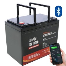 LiFePO4 12V 100Ah Акумулятор Fuyue з Bluetooth та BMS, для ДБЖ з складними ручками