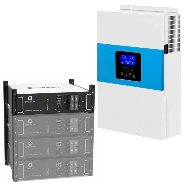 6.5 кВа LiFePO4 Комплект резервного живлення: гібридний інвертор Daxtromn + 48V 100Ah акумулятор рековий Lvtopsun rack