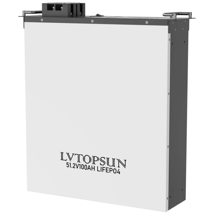 6.5 кВа LiFePO4 Комплект резервного живлення: гібридний інвертор Daxtromn + 48V 100Ah акумулятор рековий Lvtopsun rack