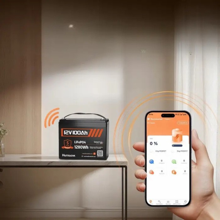 LiFePO4 12V 100Ah Humsienk з Smart BMS 100A, 1280Wh із Bluetooth для ДБЖ