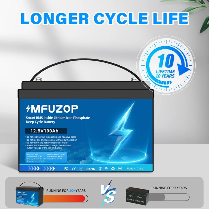 LiFePO4 12V 100Ah Акумулятор MFUZOP 1280Wh, 100A, BMS